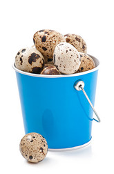 Similar image 5547558