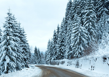 Similar image 5547589