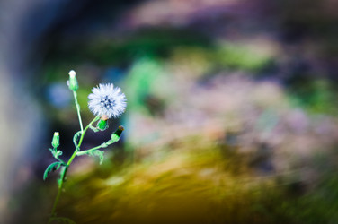 Similar image 5547599