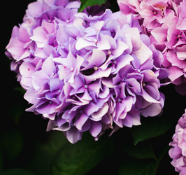 Similar image 5547600