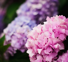 Similar image 5547601