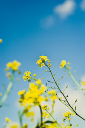 Similar image 5547602