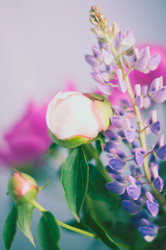 Similar image 5547603