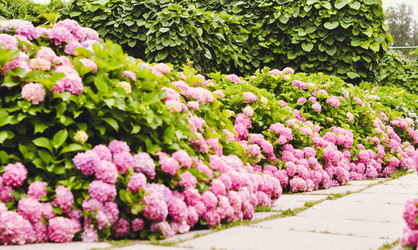 Similar image 5547604