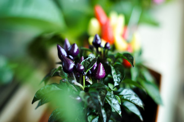 Similar image 5547607