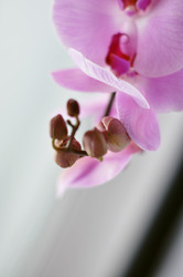 Similar image 5547608