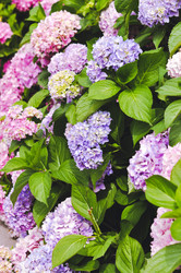 Similar image 5547609