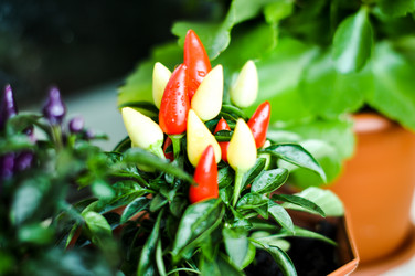 Similar image 5547610