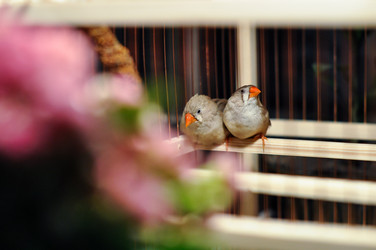 Similar image 5547611