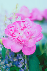 Similar image 5547614