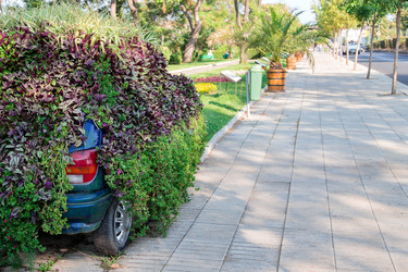 Similar image 5547622