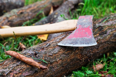 Similar image 5547629