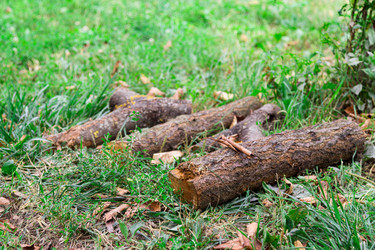 Similar image 5547630