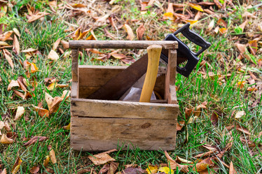 Similar image 5547631