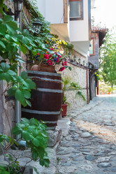 Similar image 5547650