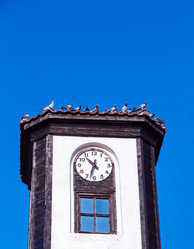 Similar image 5547651