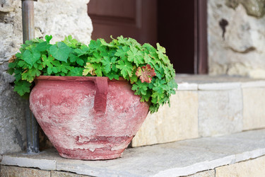 Similar image 5547652