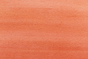 Similar image 5547690