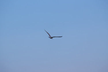 Similar image 5547689