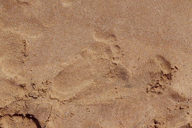 Similar image 5547700