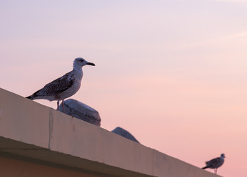 Similar image 5547703