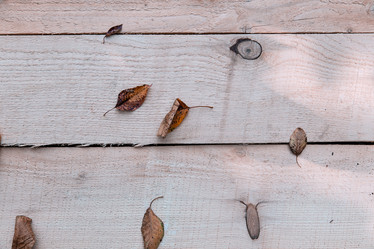 Similar image 5547709