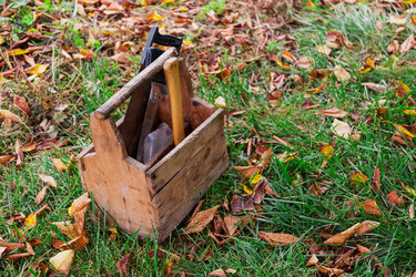 Similar image 5547710