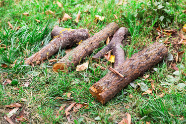 Similar image 5547711