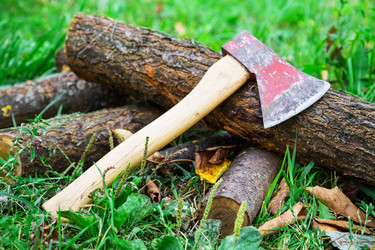 Similar image 5547712