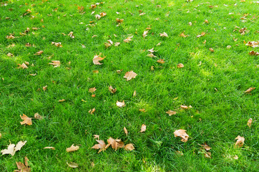 Similar image 5547739