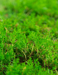 Similar image 5547743