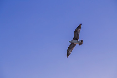 Similar image 5547752