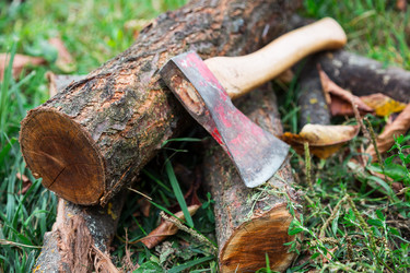 Similar image 5547757