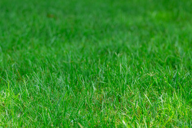 Similar image 5547772