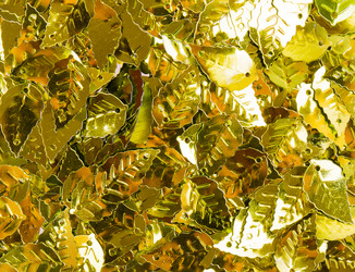 Similar image 5547824