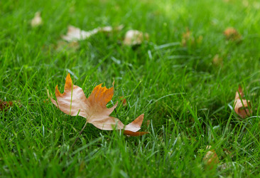 Similar image 5547857