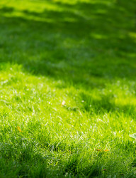 Similar image 5547860