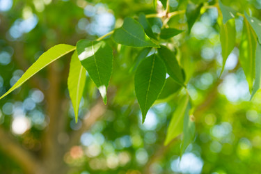 Similar image 5547861