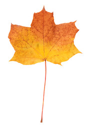 Similar image 5547869