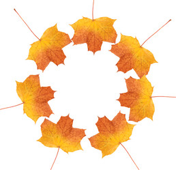 Similar image 5547870