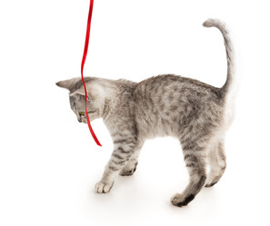 Similar image 5547897