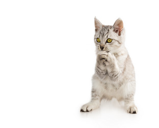 Similar image 5547899