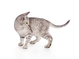 Similar image 5547904