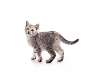 Similar image 5547905