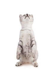 Similar image 5547913