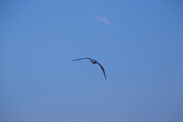 Similar image 5547920