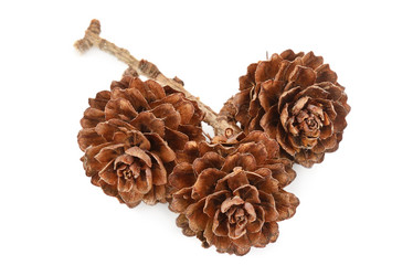 Similar image 5547995