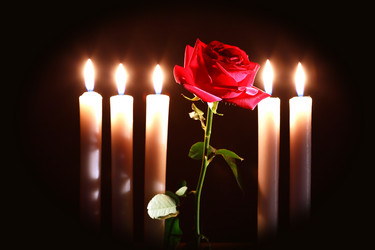 Similar image 5549381