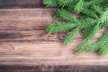 Similar image 5549388