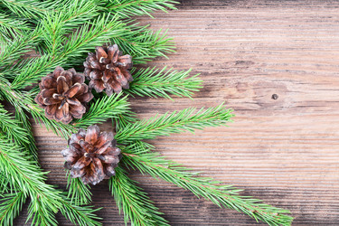 Similar image 5549389